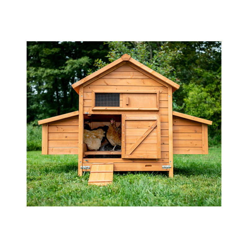 MyPetChicken Bungalow Chicken Coop Wayfair